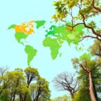 global-patterns-in-urban-tree-diversity-revealed