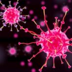 peripheral-dendritic-cells-trigger-early-allergies