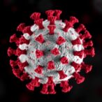 conserved-cd4+-t-cell-epitopes-boost-broad-vaccine-effects