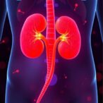 host-factors-trump-kidney-function-in-gut-microbiome