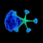 dual-receptor-knockout-boosts-car-t-solid-tumor-therapy