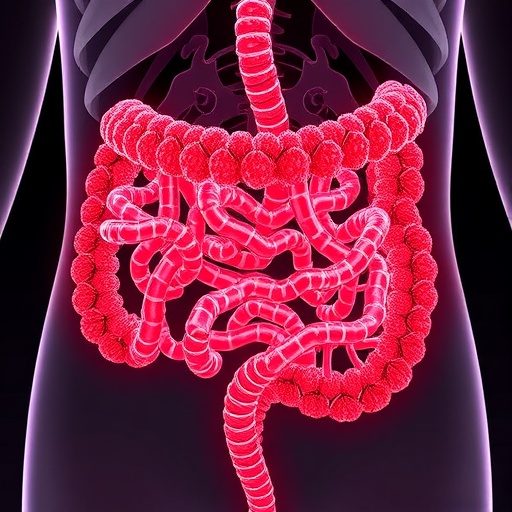 targeting-nat10-eases-aging-colon-inflammation