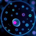 microfluidic-chips-predict-embryo-implantation-via-metabolites