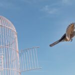 fda-fully-releases-clinical-hold-on-intellia-crispr-gene-therapy-trials