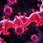 powerful-na-targeting-antibody-fights-diverse-h5n1-strains