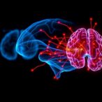 psa-vs.-stn-dbs:-connectivity-in-parkinson’s-revealed