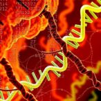 genetic-recorder-tracks-cellular-history-over-time