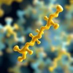 deep-learning-accelerates-citrullinated-peptide-discovery