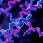 chemically-“stapled”-peptides:-a-promising-strategy-to-combat-hard-to-treat-cancers