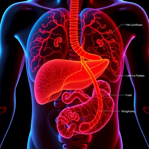 gpr146-in-fat-tissue-fuels-liver-fat-buildup
