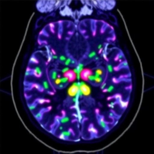 innovative-imaging-tracer-uncovers-tumors’-fat-fueled-growth-mechanism