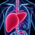 injectable-“satellite-livers”-present-promising-alternative-to-liver-transplantation