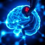 prenatal-health-impacts-neonatal-brain-activity