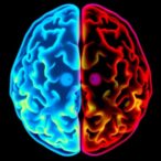 ai-enables-contrast-free-glioma-blood-brain-barrier-detection