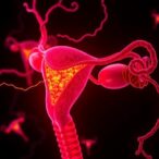 tcf21-drives-emt-and-cytoskeleton-changes-in-uterus