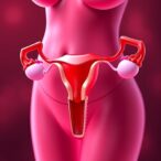 antifibrotic-drug-offers-new-hope-for-treating-premature-ovarian-insufficiency