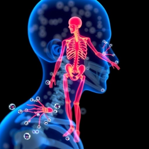 real-time-visualization-of-microplastics-in-the-body-enhances-insight-into-health-risks