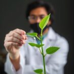 innovative-plant-based-method-promises-more-affordable-and-effective-glp-1-delivery