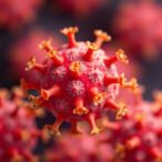 how-influenza-polymerase-snatches-caps-co-transcriptionally