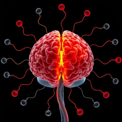 enhancing-your-biological-age-gap-linked-to-improved-brain-health