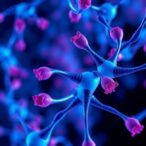 overcoming-breast-cancer-resistance-to-cdk4/6-inhibitors-through-genomic-discoveries