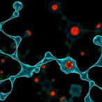 new-molecular-target-enhances-immunogenicity-in-cancer-immunotherapy