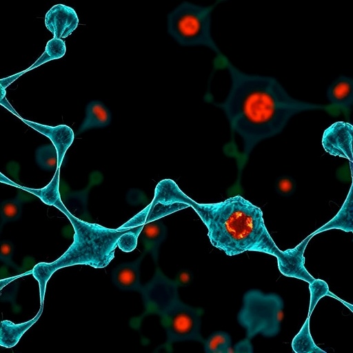 new-molecular-target-enhances-immunogenicity-in-cancer-immunotherapy