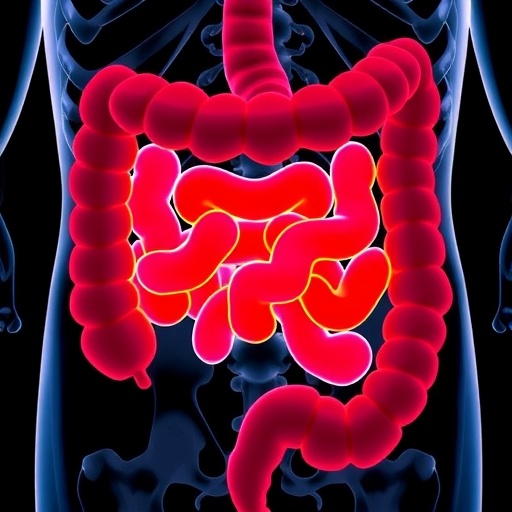 new-study-aims-to-enhance-communication-of-genetic-risks-in-colorectal-cancer