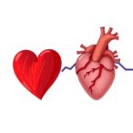 tracking-complex-congenital-heart-disease-from-preschool-to-teens