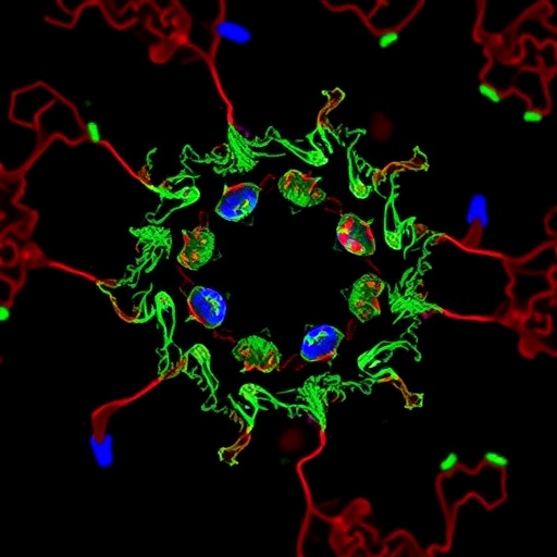 unraveling-pfdnmt2-and-pfatp6-roles-in-malaria-drug-resistance