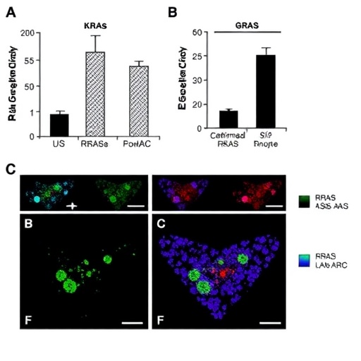 cetuximab-boosts-kras-g12c-inhibitors-in-lung-cancer