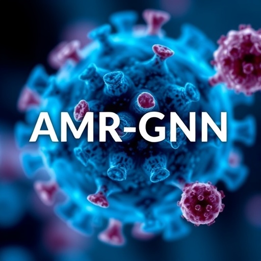 amr-gnn:-advancing-genomic-antimicrobial-resistance-prediction