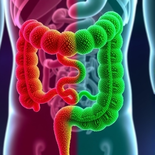 shifting-bacterial-communities-drive-colorectal-cancer-progression