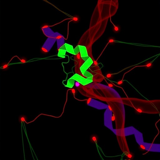 lysophosphatidylcholine-acyltransferase-1-drives-cancer-via-cox17