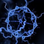 reversibility-and-treatment-potential-in-dnm1l-disorders