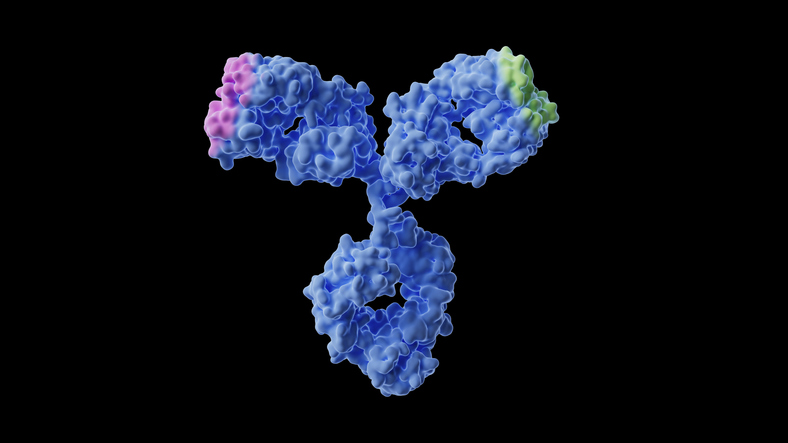 enhancing-quality-and-accelerating-the-development-of-bispecific-antibodies