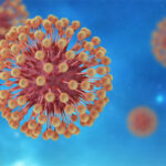 hsv-1-liquifies-cell-nuclei-to-aid-replication