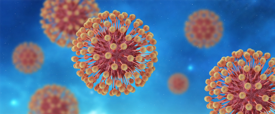 hsv-1-liquifies-cell-nuclei-to-aid-replication