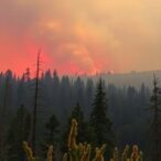 wildfire-smoke-risks:-protecting-kids-and-pregnant-individuals