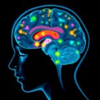neuroimaging-reveals-types-of-teen-sleep-insufficiency