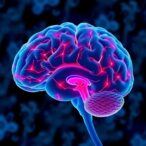 cancer-drug-reduces-elevated-brain-connectivity-in-early-alzheimer’s,-lab-study-finds