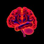 neural-signature-reveals-adaptive-mentalization-mechanisms