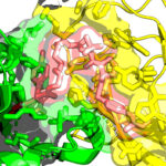 expanding-the-druggable-proteome-with-tech-advances