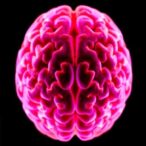 researchers-discover-molecular-‘self-destruct-button’-in-brain-tumors