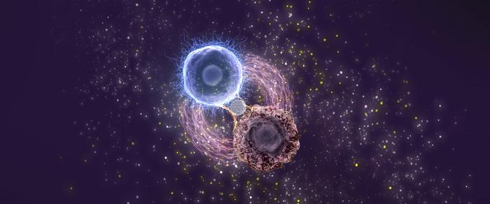 car-t-cell-therapy-boosted-by-biomimetic-platform-in-refractory-leukemia