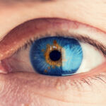 resident-macrophages-play-a-role-in-maintaining-murine-intraocular-pressure