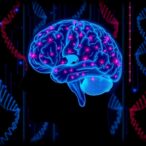 thousands-of-genetic-variants-influence-epilepsy-risk,-with-many-still-undiscovered