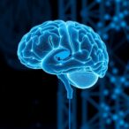 progressing-brain–computer-interfaces-to-revolutionize-rehabilitation-and-assistive-technologies