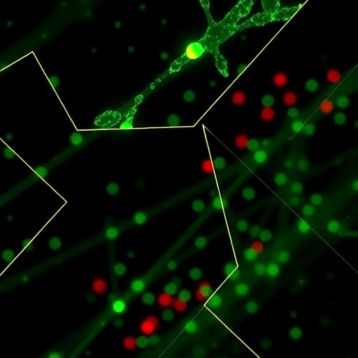 cas13-activation-controls-lysogeny-in-type-vi-a-crispr