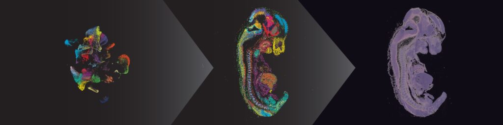 from-single-cell-to-spatial-multiomics:-expanding-biological-context-in-genomic-research